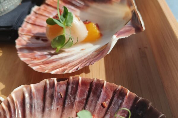 coquille bbq